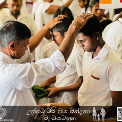 442415339 1899567930481654 4382743488175331328 N